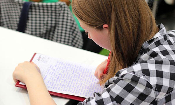 绿色轰炸工具版
